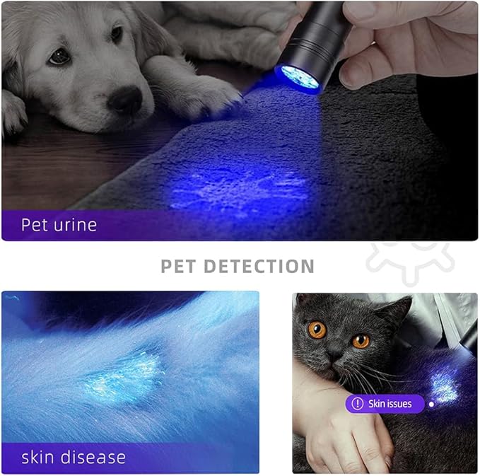 BEIKE UV Blacklight Flashlights, 12 LED 395nm Ultraviolet Blacklight (2 PCS) – Mini Portable UV Detector for Dog Urine, Pet Urine Detector Light for Stains, Bed Bugs, Resin Curing，Scorpions Finder