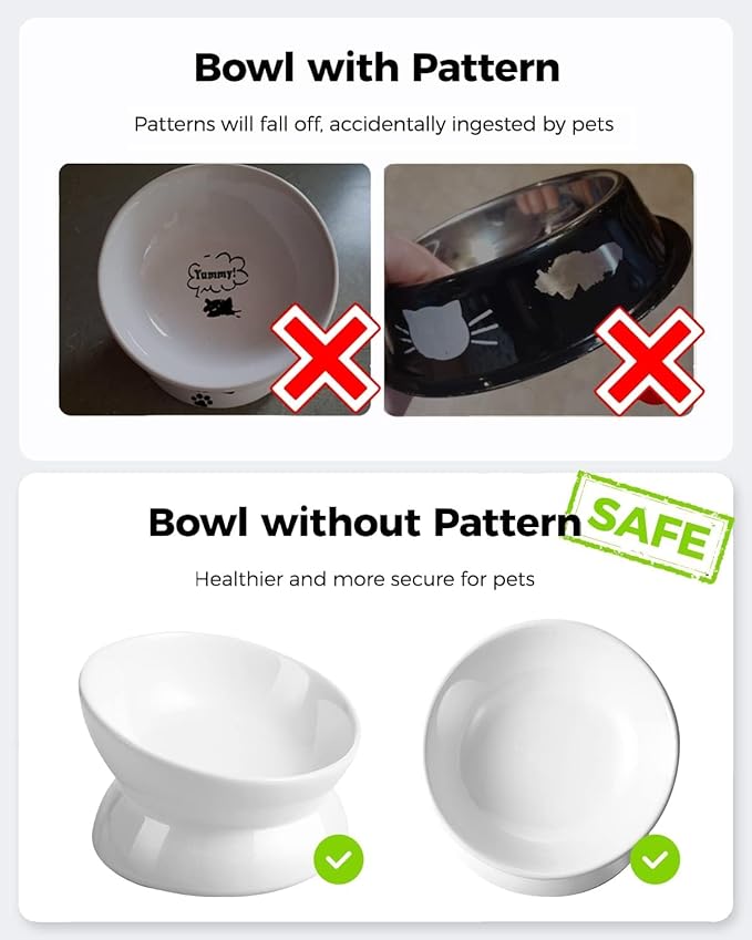 LoeJan Elevated Cat Food Bowl, 5 Oz Ceramic Raised and Tilted Water Bowl, Anti Vomiting and Protect Pets' Spines Dishes for Small Dog, Fat Faced Cat, Kitten (White, 2 Pack)