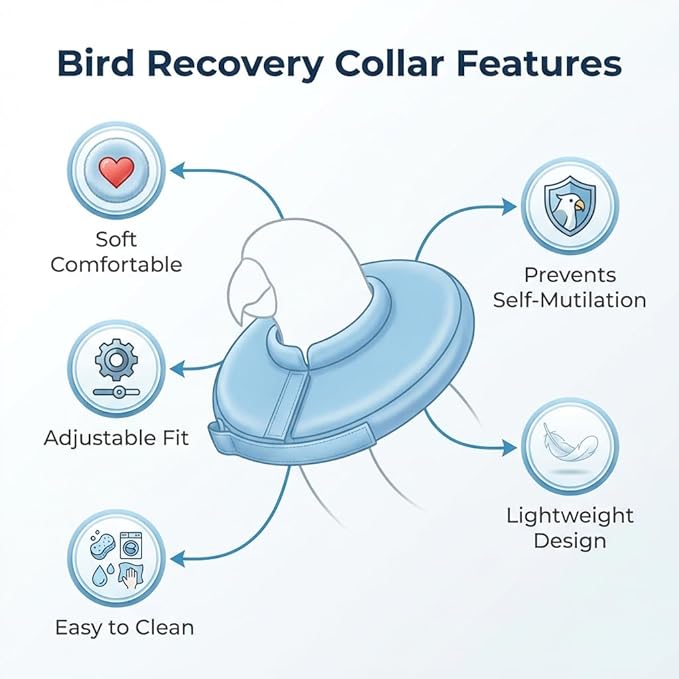 4 Pack Parrot Recovery Collar, Anti-Bite Anti-Plucking Protective E-Collar for Budgies, Lovebirds, Cockatiels & Small Birds, Wound Healing Elizabethan Cone with Adjustable Strap