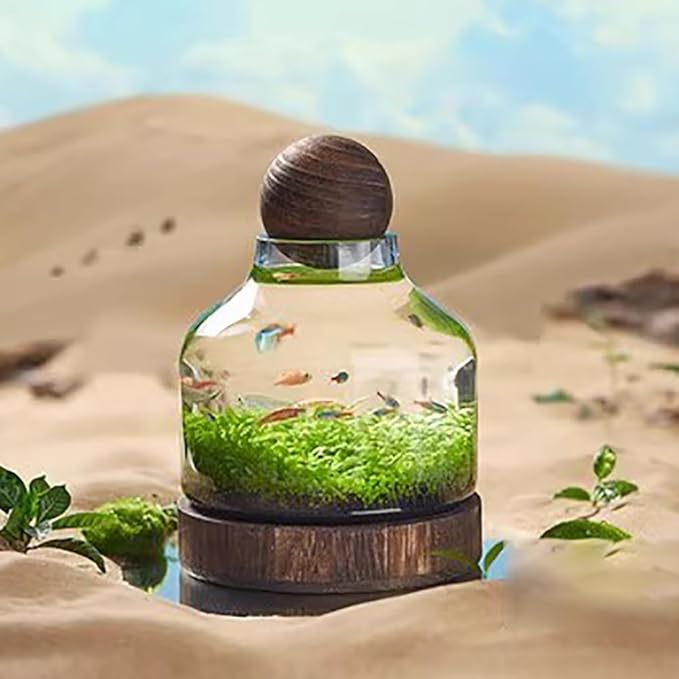 Glass Aquarium, Miniature Landscape Terrarium Glass Fish Tank with Wooden Base, Modern Betta Fish Tank, Small Aquarium for Home and Office Decoration,L