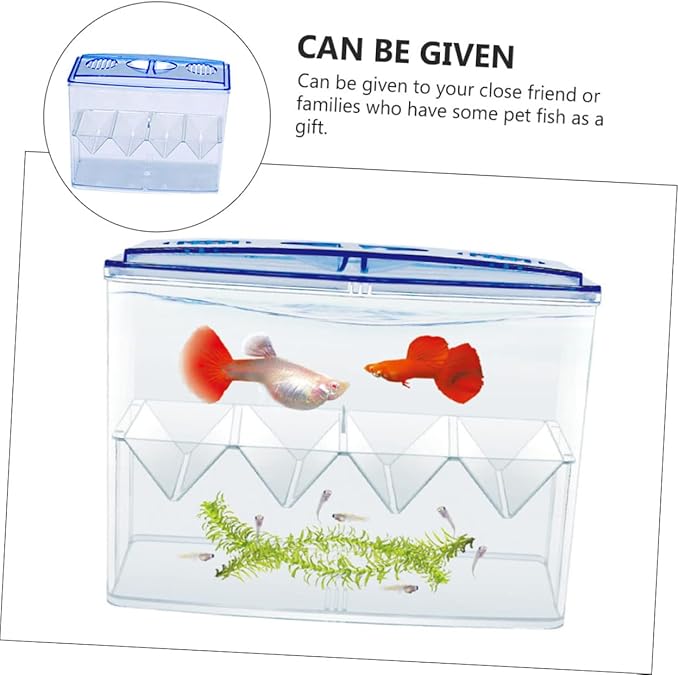 BESPORTBLE 1pc Fish Hatching Box Sturdy Aquarium Breeding Tank Small Fish Incubation Tank