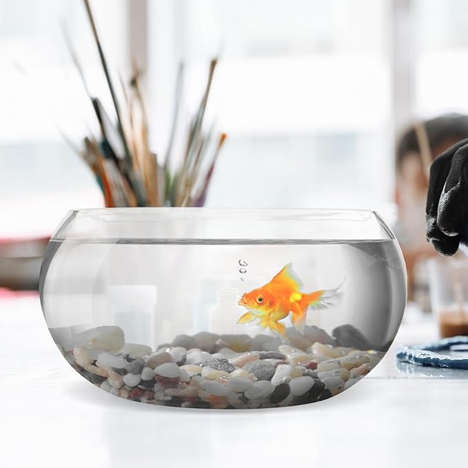 Glass Fish Bowl 25l Decorative Goldfish Bowl Hydroponic Plant Terrarium for Office Desk and Home Aquarium