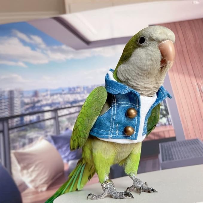 Bird Costume Bird Diaper Flight Suit Bird Jeans Fake Two Pieces Bird Clothes Cosplay Photo Prop for Parrots Lovebird Parakeet Cockatiel Small Animals Apparel (Without Diaper,Common Hill Myna)