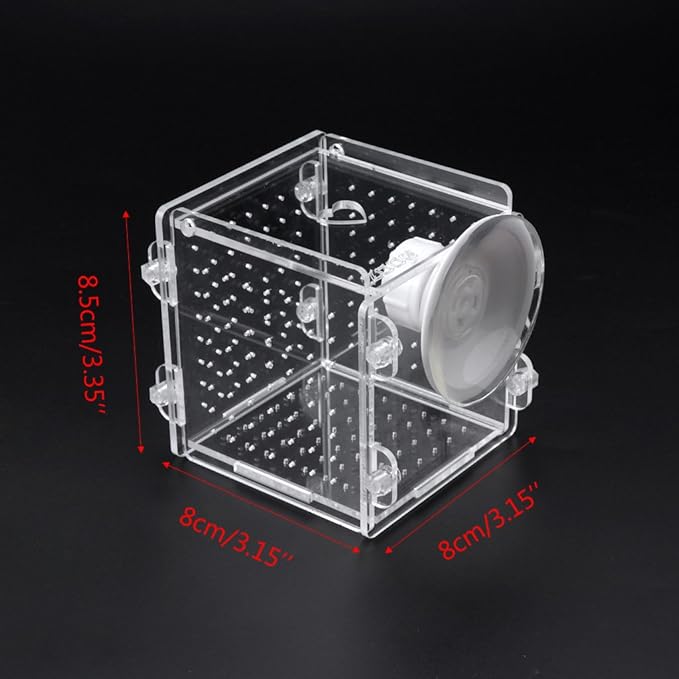 Fish for Tank Hatchery Incubator Aquarium Breeding Box Acrylic Breeder Isolation Hatching Boxes with Suction Cup on Large Net Mesh Aquarium Small Floating Large Mesh