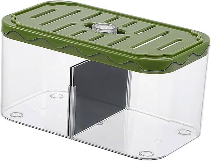 Aquarium Breeding Box Tabletop Fish Tank Versatile Acclimation Hatchery with Removable Divider for Guppy Betta Desk, Green