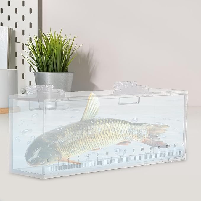 MagiDeal Fish Viewing Box, Fishing Hatching Incubator, Acrylic Fish Egg Breeding Case, Aquarium Tank Isolation Breeder, L