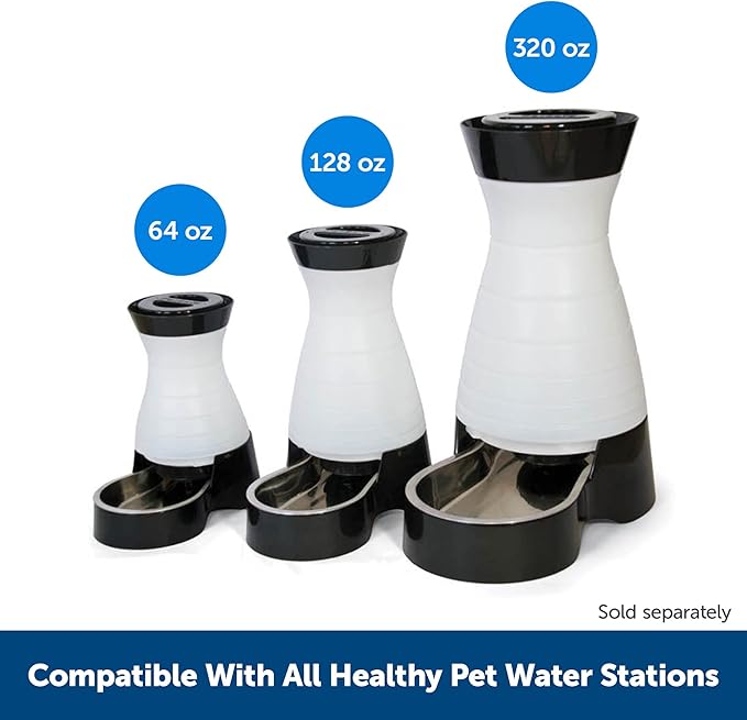 PetSafe Healthy Pet Water Filter - Removes Odor & Sediment - Natural Coconut Shell Carbon - Compatible with Healthy Pet Water Station - Replacement Filters - 2-Pack