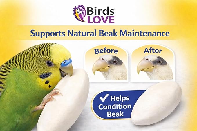Birds LOVE 3.5-4″ Cuttlebones for Birds – 100% Natural Sun-Dried Calcium & Beak Conditioning Supplement for Parakeets, Budgies, Cockatiels, Finches & Canaries – 2 Pack with Holder – Made in Vietnam