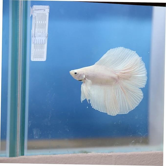 Breeding Tank Transparent Aquarium Box Cup Isolation Hatchery for Fish for Betta Guppy Fish Survival Water Cracks Easy Installation Observation