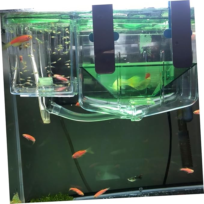 BESPORTBLE Transparent Acrylic Fish Breeding Tank for Aquarium Self Guided Incubator Box with Isolation Chambers Protects Juvenile and Sick Fish Prevents Enhances Survival Rate