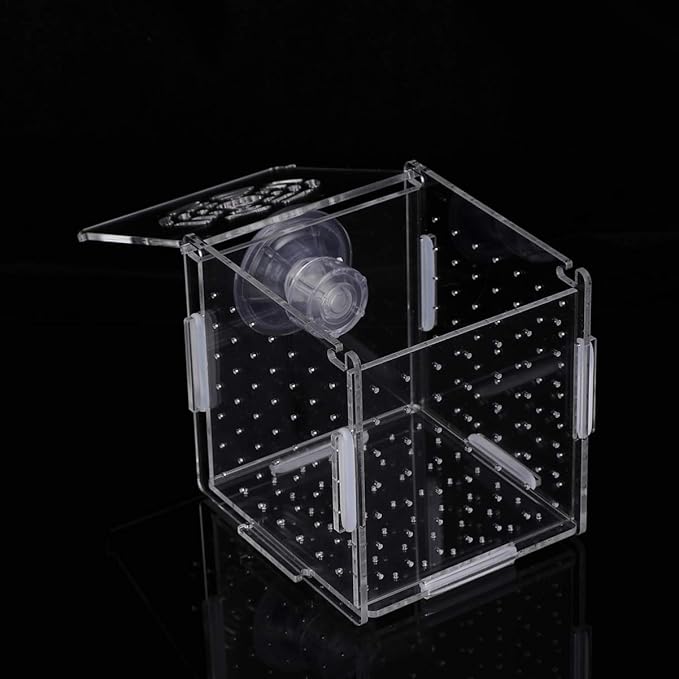 Fish Breeding Box- Box Hatchery Incubator Aquarium Fish Breeding Boxes Divider Hatching Boxes Accessory for Small Shrimp Clownfish Guppy-Small Suction Cup