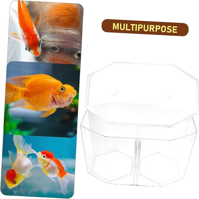 Box Transparent Fish Breeding Tank Clear Incubation Box with Dual Compartments for Isolation and Observation Safe Material Easy to Clean for Goldfish Care