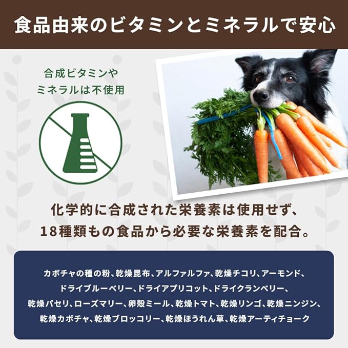 Nature's Logic Dry Dog Food - 100% Natural - No Synthetics - For All Ages, Sizes, Breeds - Free From Common Allergens, High Protein - Beef Meal Feast, 4.4lbs