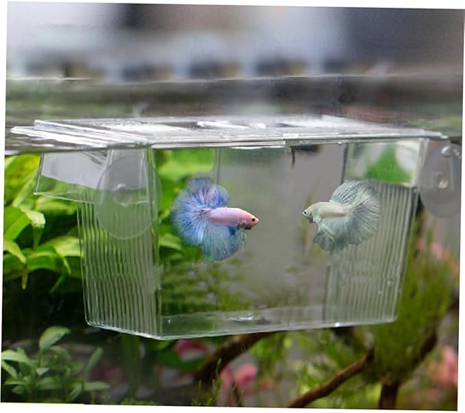 FRCOLOR 2pcs Aquarium Self-Floating Fish Breeding Isolation Box Transparent Fish Hatchery Incubator for Guppies and Bettas Prevents Aggressive for Separation