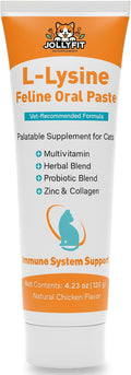 L-Lysine for Cats Oral Paste – Immune & Respiratory Support for Felines – with Collagen, Zinc, Multivitamins & Probiotics – Natural Chicken Flavor, 4.23 oz (120g)