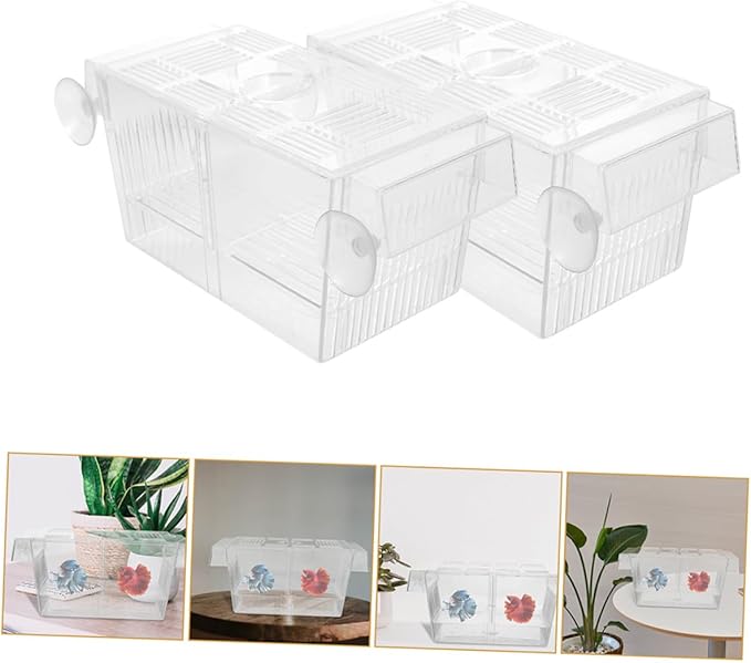 Ciieeo 4pcs Betta Fish Fry Incubator Box Self-Floating Double-Layer Fish Egg Separator Case Plastic Breeding Tank Accessory for Aquarium Fry Hatchery