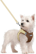 rabbitgoo Dog Harness Small Sized and Leash Set, Step in Soft Light Puppy Vest, Breathable Mesh Pet Harness, Reflective for Safe Easy Walking, Brown & Beige S