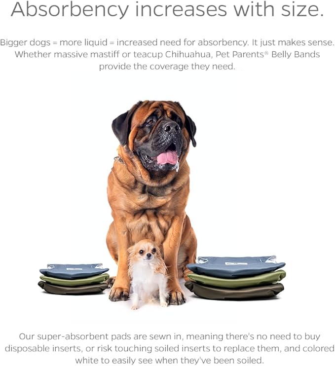 Pet Parents® Washable Belly Bands for Male Dogs (3pack) + Extendrs® of Durable Dog Diapers Male, Premium Male Dog Diapers & Dog Wraps (X-Small, Koda)