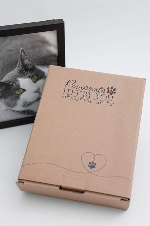 Pawprints Left By You Memorial 5x7 Frame for Cat with Pet Tag - Thoughtful Cat Memorial Gift