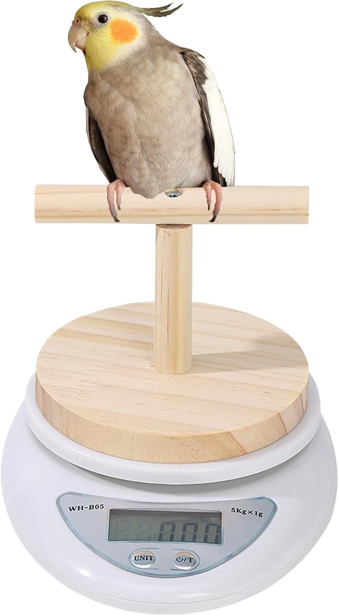Parrot Weighing Scale – Bird, Electronic Scale | Small Animal Feeding Weight Tool for Xuanfeng Tiger Skin Peony, Measuring Bird Food Grain and Milk Powder for Daily Health Monitoring and Pet