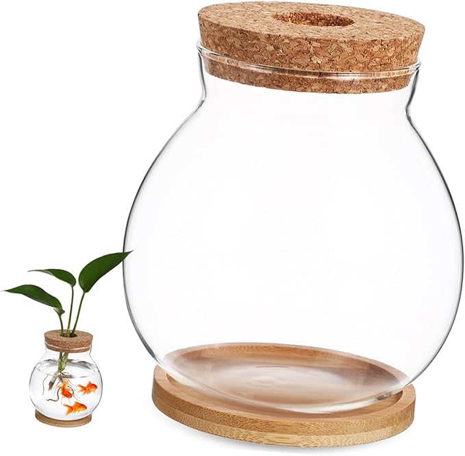 Small Hydroponic Glass Fish Tank with Lid, Mini Betta Fish Bowl 10x11cm with Mat for Desktop Aquarium Terrarium Decor