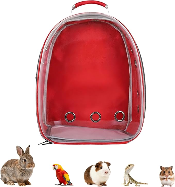 Transparent Parrot Backpack,12 Holes Ventilate Space Capsule Carrier,Stick Wooden Standing Perch,Portable Double Shoulder Outdoor Pet Backpack Carrier for Birds and Pets (Red,Without Stick)
