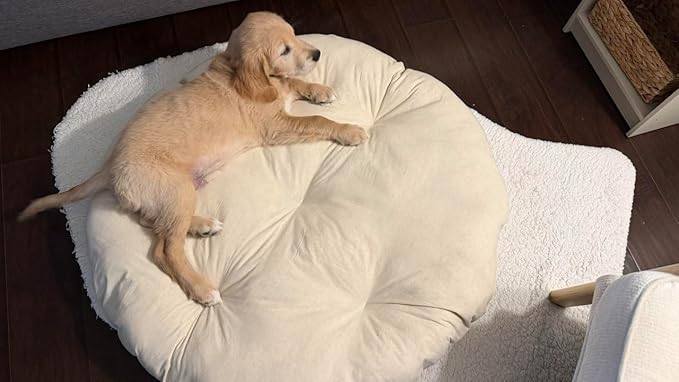 Round Dog Bed Insert Natural – Muslin Cotton Cover with Raw Cotton Filling, Breathable, Plastic-Free, Replacement Cushion (Large 35" x 4")