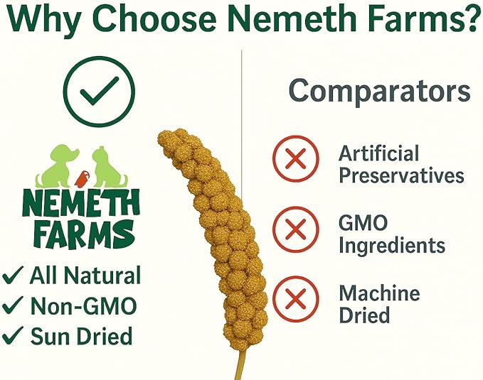 Nemeth Farms 1lb Premium Spray Millet for Exotic Birds – Grown in The USA – 100% Natural & Non‑GMO Bird Treat – Sun‑Dried Millet for Parakeets, Conures, Cockatiels, Parrots & Budgies