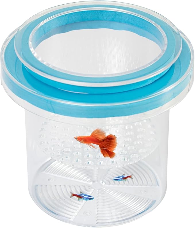 Floating Fish Breeding Box, Acrylic Fish Isolation Box for Aquarium Tank, Hatchery Incubator Breeder for Betta Shrimp Clownfish Guppy (Large)