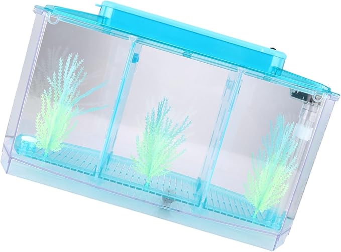 Rengue Fish Breeder Box for Aquarium TripleChamber Fish Breeder Box for Aquarium, Transparent LED Acrylic Small Fishes Breeding Isolation for, Transparent LED Acrylic (Blue)