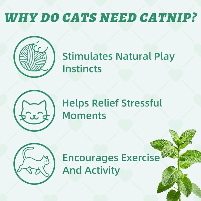 Wellix 13.05oz Catnip Treats for Cats -Healthy Cat Treats for Indoor Cat with Digestive Support - Crunchy Kitten Snacks for Training Biscuits,Food Toppers,Dental Chews with Real Salmon