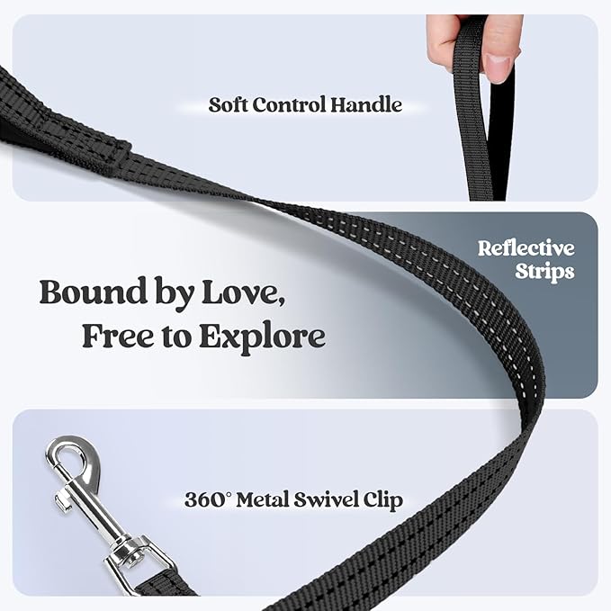 rabbitgoo Dog Harness Small Sized and Leash Set, Step in Soft Light Puppy Vest, Breathable Mesh Pet Harness, Reflective for Outdoor Safe Walking, Black XXL