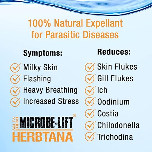 MICROBE-LIFT Herbtana Fish Medicine, Immune Booster and Parasite Treatment for Aquarium Fish Health, Ich Treatment, Use in Freshwater Tank or Saltwater Aquarium, 16 Ounces (HERB16)
