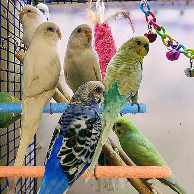 1Pc Random Color Bird Perch Stand Toy Wood Parrot Perch Stand Grinding Claw Sticks Sanded Surface Cage Toy for Parakeets Finches Parakeet Toys，Birdcage Accessories, Bird Perches