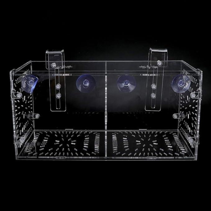 Fish Tank Breeding Box Acrylic Isolation Incubation, Adjustable Height, Transparent - Durable Material, Stable Attachment, Ideal for Aggressive and Sick Fish (30CM*15CM*15CM)