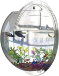 Wall-Mounted Acrylic Fish Bowl - Transparent Hanging Fish Tank & Planter for Home and Office Decor(Transparent)