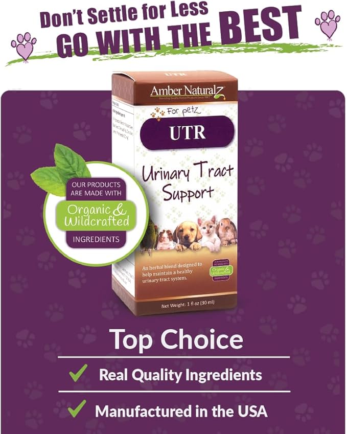 Amber NaturalZ UTR Urinary Tract Herbal Supplement for Dogs, Cats, Birds, Guinea Pigs, and Rabbits | Pet Herbal Supplement for Bladder Support | 1 Fluid Ounce Glass Bottle | Manufactured in The USA
