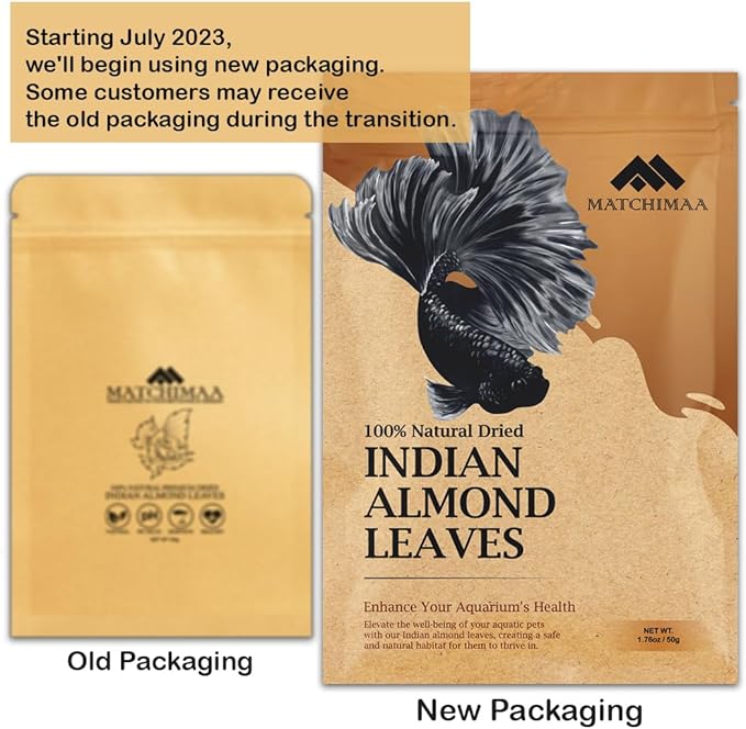 Premium Indian Almond Leave. Aquarium Decorations Size 6-9" Pack 50g(20-25 Leaves). Catappa Leaves Rich in Tannin. Superb to be Health Better, Vitality, Succesful Breeding! of Shrimp & Betta Fish Tank