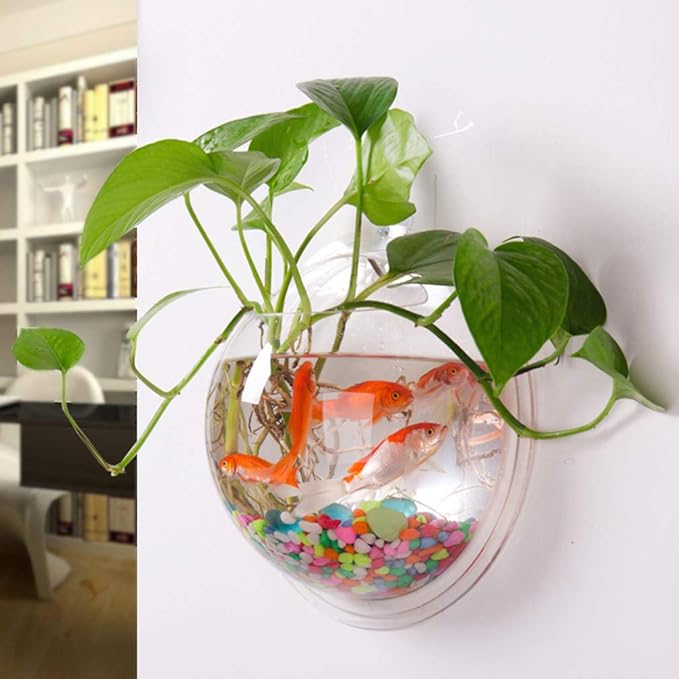 Alipis Wall Mounted Acrylic Fish Tank 6 Inch Hanging Fish Bowl Transparent Aquarium for Home Decor Living Room Plant Terrarium Style