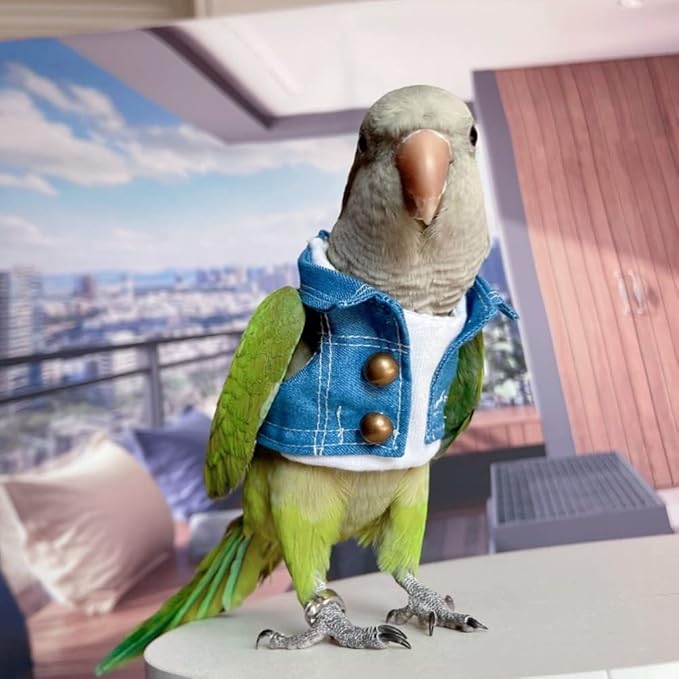 Bird Costume Bird Diaper Flight Suit Bird Jeans Fake Two Pieces Bird Clothes Cosplay Photo Prop for Parrots Lovebird Parakeet Cockatiel Small Animals Apparel (Without Diaper,Hahn's Macaw)