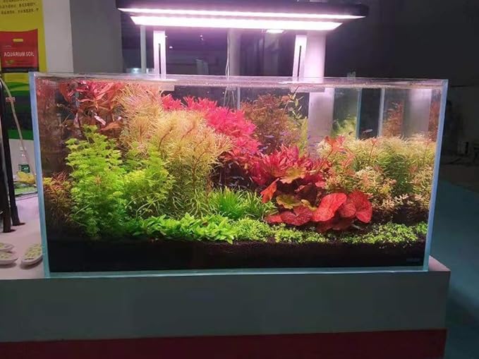 Ultra Clear Rimless Aquarium Tank 6-60 gallons Low Iron Glass (38Gal - Anti-Jumping net)