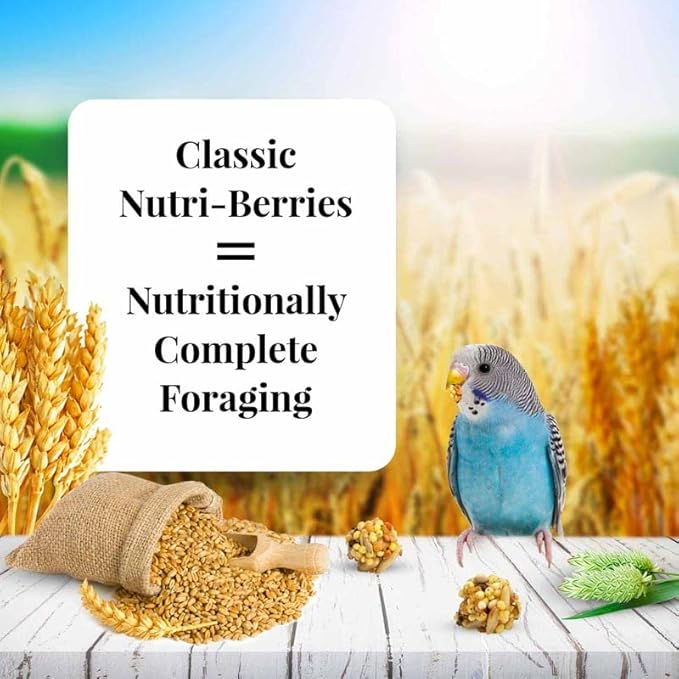 LAFEBER'S Classic Nutri-Berries Pet Bird Food, Made with Non-GMO and Human-Grade Ingredients, for Parakeets (10 oz Pack of 2)
