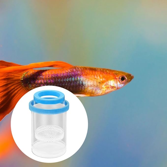 Floating Fish Breeding Isolation Box, Aquarium Breeder Round Spawning Box, Fine Mesh Clear Hatching Box, Aquarium Hatchery Accessory, Style A Blue