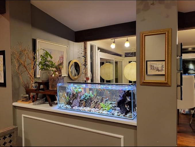 Lifegard Aquatics 6 Gallon Clear Glass Bookshelf Aquarium