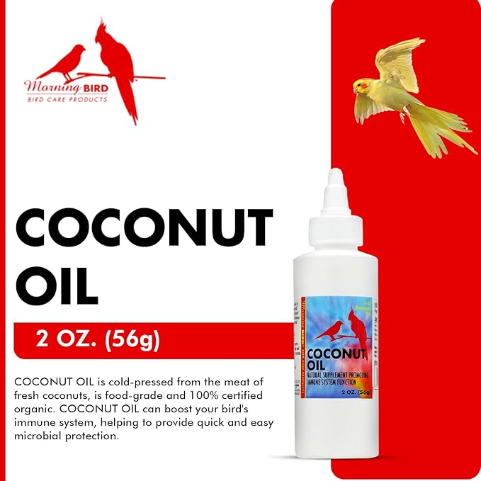 Morning Bird Coconut Oil for Birds 2 oz – Cold Pressed, Organic - Supports Immunity & Digestion – Boosts Energy & Feather Health – Easy to Mix – Safe for All Bird Life Stages