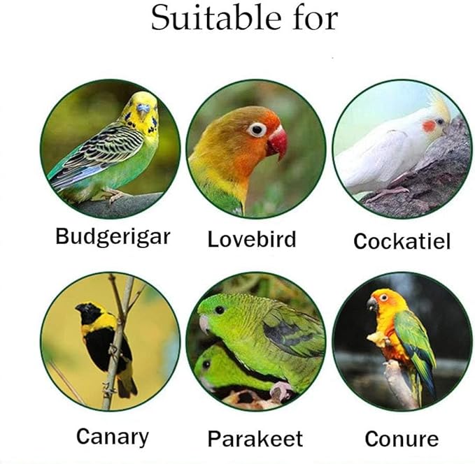 Hamiledyi Wood Bird Perch 4PCS Natural Wooden Stand Platform Parrot Cage Accessories for Budgie Conure Parrot Parakeet Cockatiel Lovebird