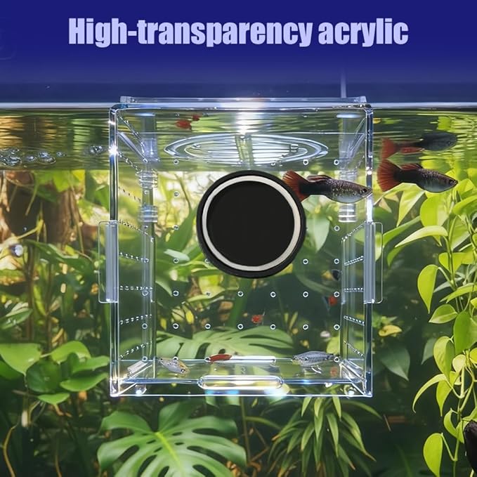 Aquarium Breeding Box,Magnetic Fixation Acrylic Fish Tank Isolation Box with Feeding Hole for Fish Hatching Rearing