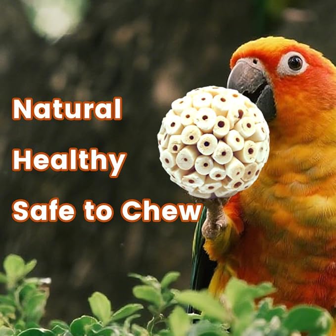 4PCS Bird Toys Sola Balls 2.36'' - Bird Foraging Toy, Sola Atta Ball, Parrot Chew Shred Toy for Sharpening Claws & Beaks for Cockatiel, Parakeets, Conure, Love Birds, Budgie and Small Birds