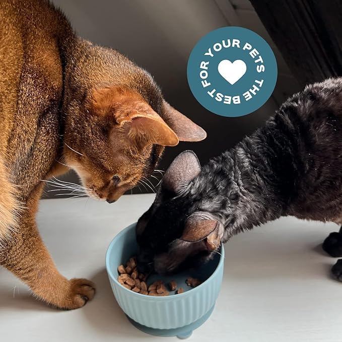 Silicone Lids for Pet Food Bowls, Can Lids for Dog Food, Cat Food, Can Lid Made from Grade Premium Silicone, Dishwasher & Microwave Safe Silicone Lid Caps for Wet Food, Universal Size (2)