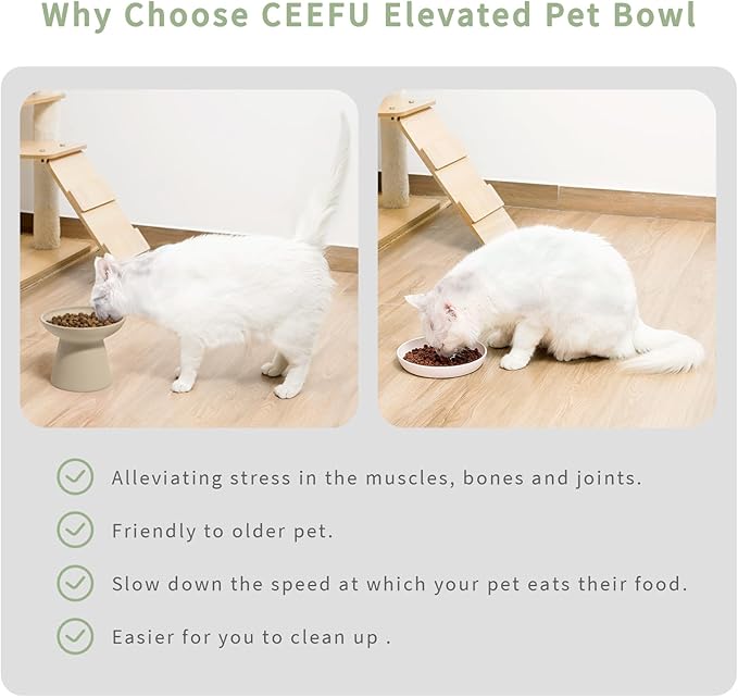 2 Elevated Cat Bowls Extra Wide for Food & Water – Whisker Fatigue, Ceramic Wide Shallow Food Dish, Lead & Cadmium Free, Raised Height for Cats, Pottery Clay (Not Glazed)